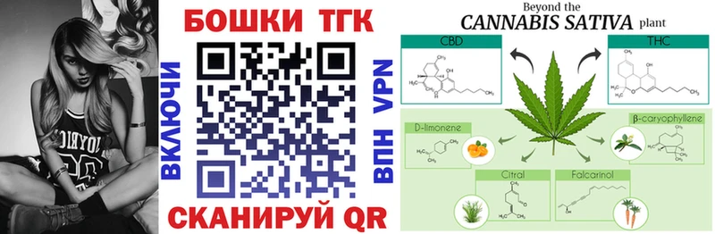 Бошки Шишки THC 21%  Купить закладки  Семикаракорск 